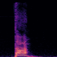 STFT spectrogram for a 2-sec TA recording (resized 224x224, RGB): time left to right, frequency bottom to top, loudness dark to bright.
