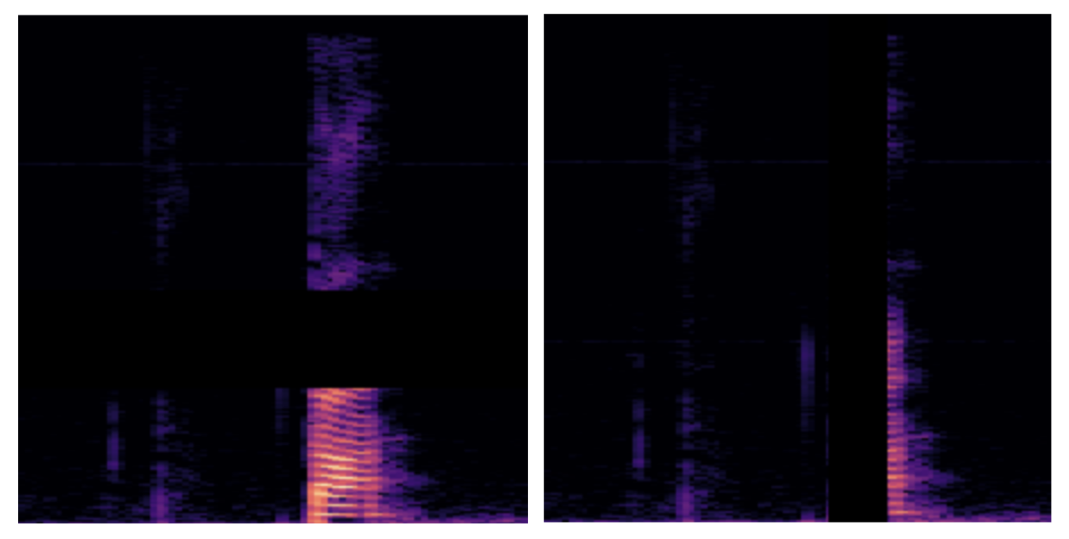 Spectrogram-specific augmentation techniques